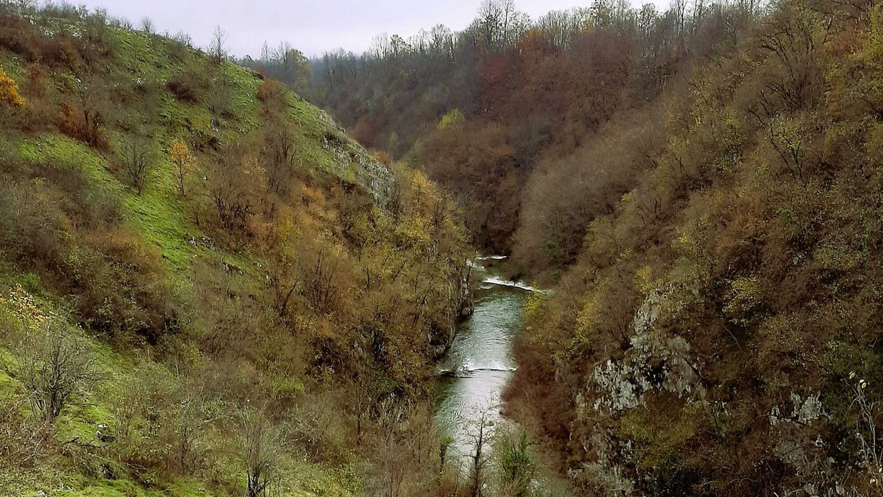Photo of Others in Dreznik Grad