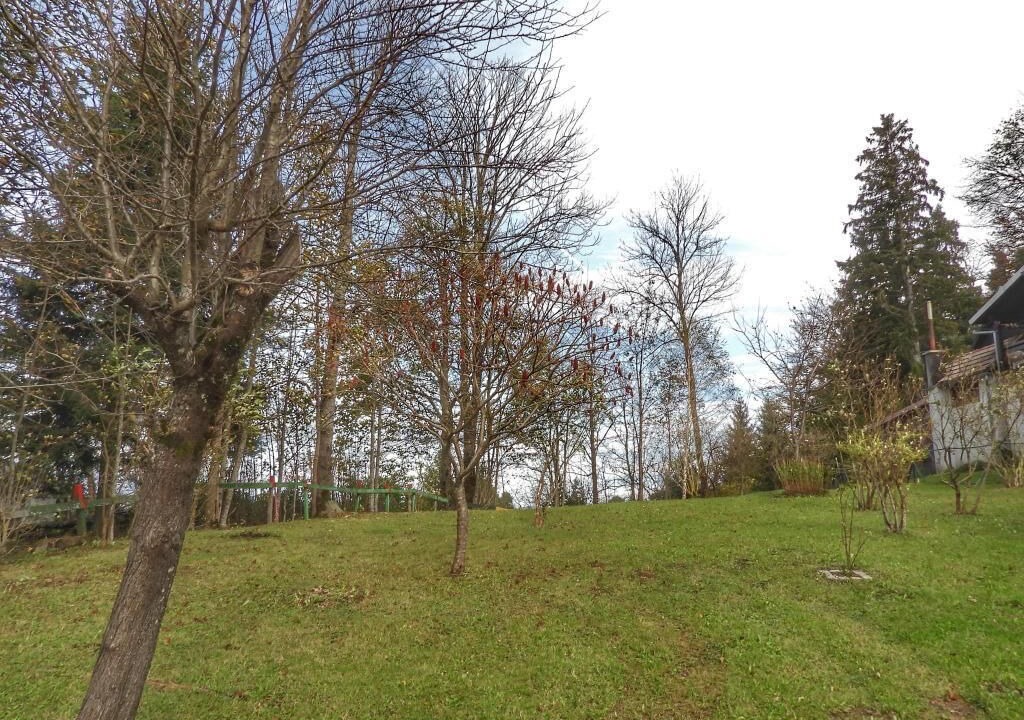 Photo of Outdoor in Kupjak