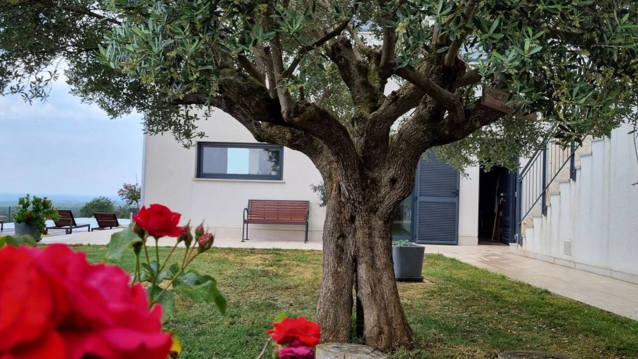 Photo of Outdoor in Strpacici