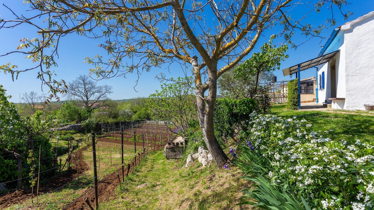 Photo of Others in Vinez