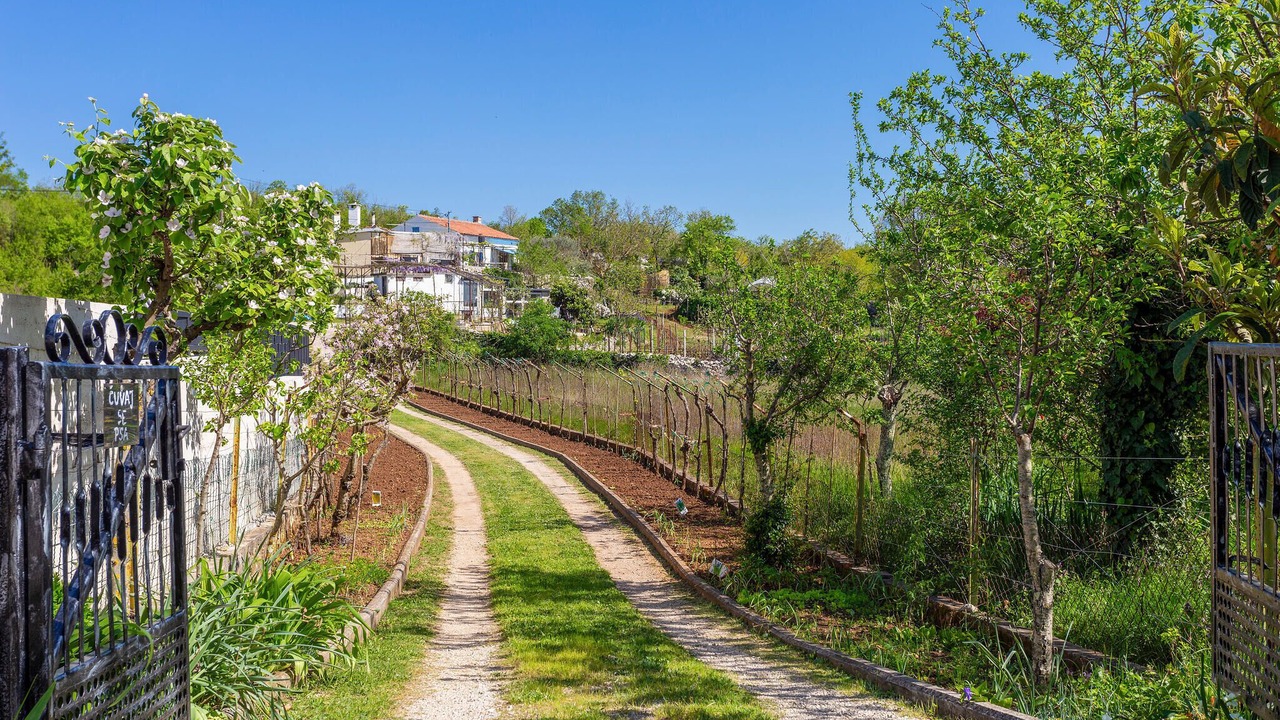 Photo of Others in Vinez