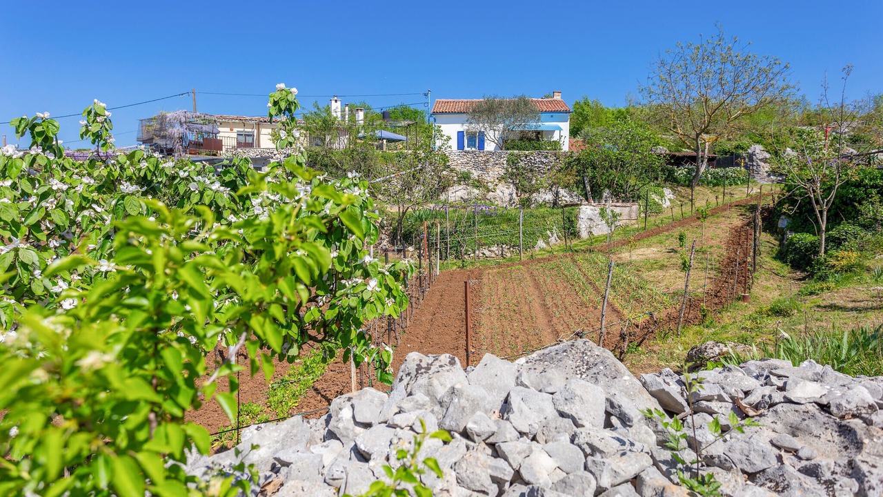 Photo of Others in Vinez