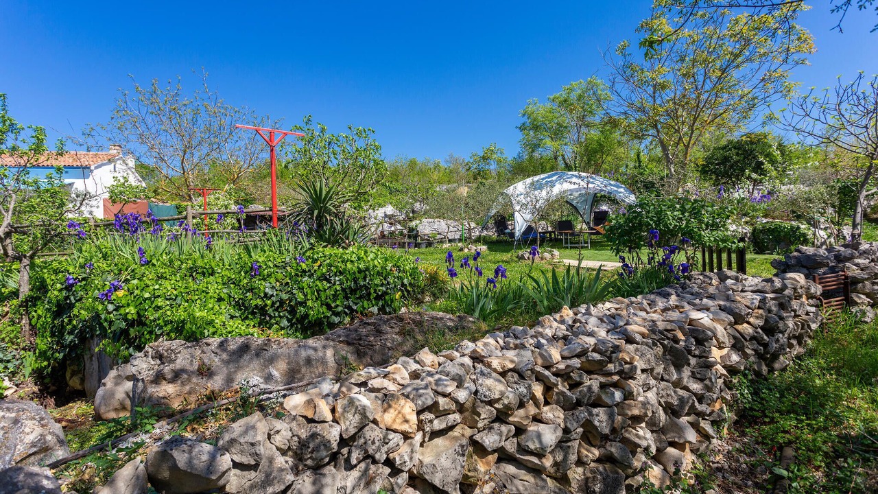 Photo of Others in Vinez