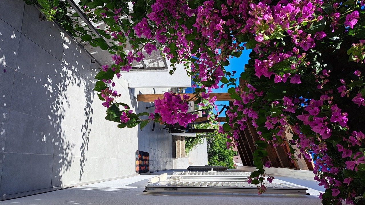 Photo of Outdoor in Ubli