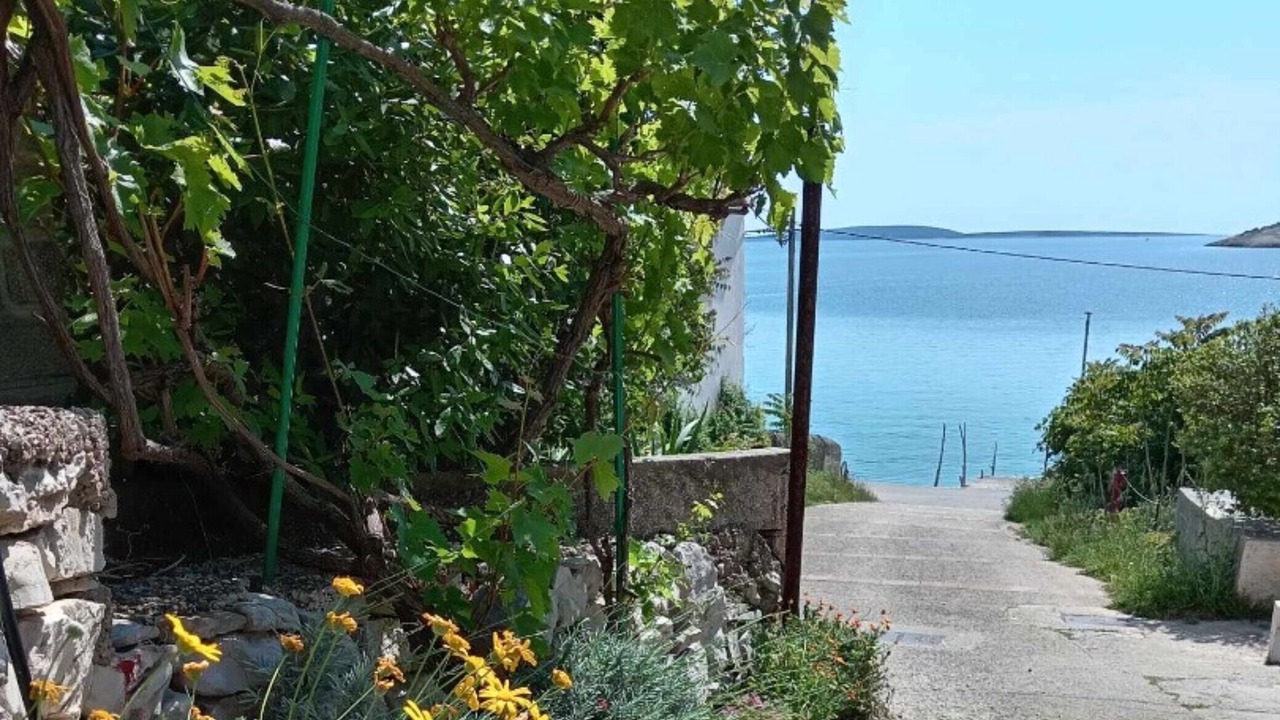 Photo of Outdoor in Martinscica