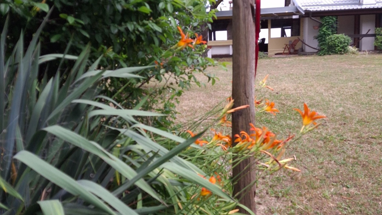 Photo of Outdoor in Erdut