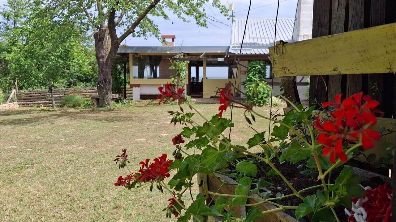 Photo of Outdoor in Erdut