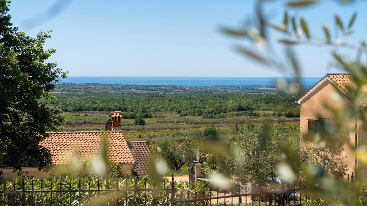 Photo of Outdoor in Markovac