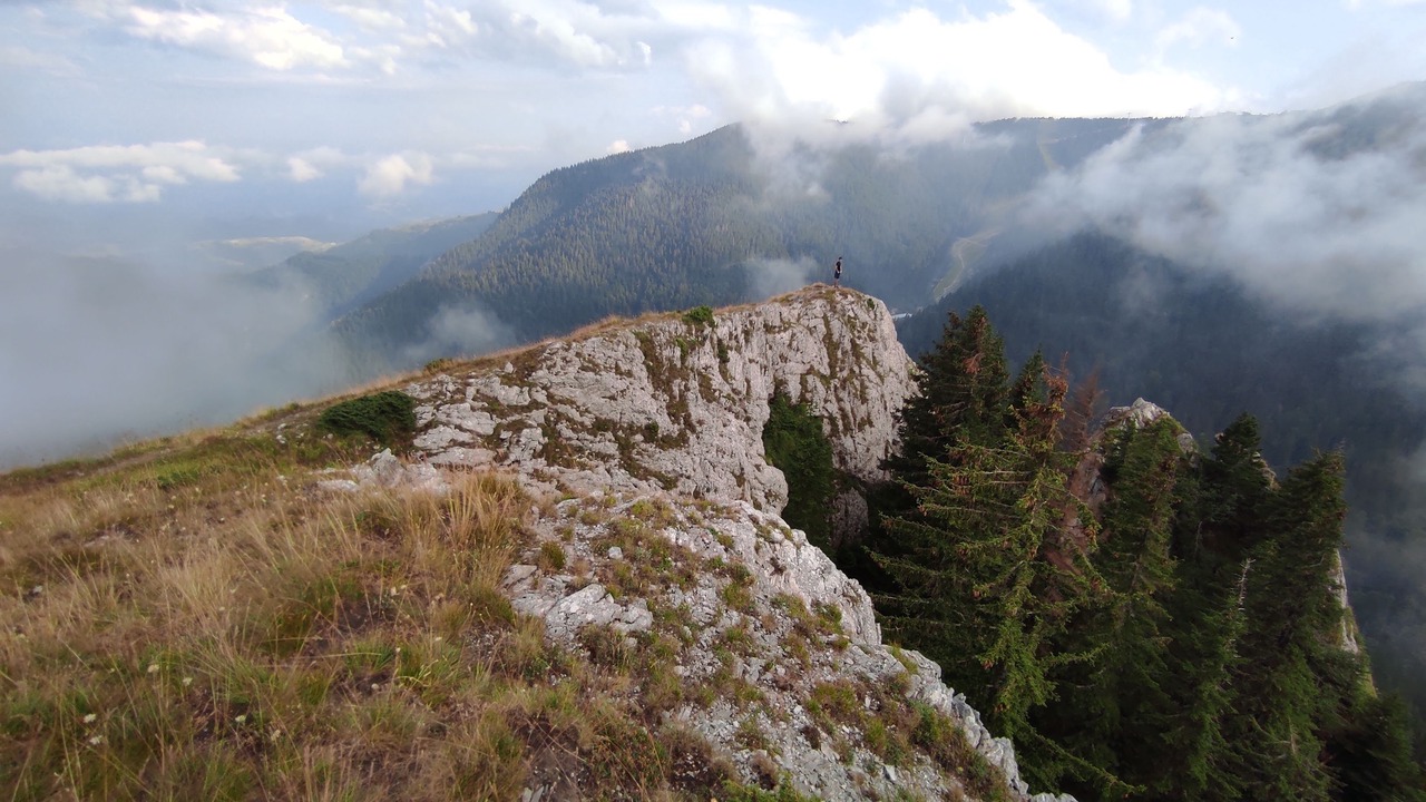 Photo of Others in Kopaonik
