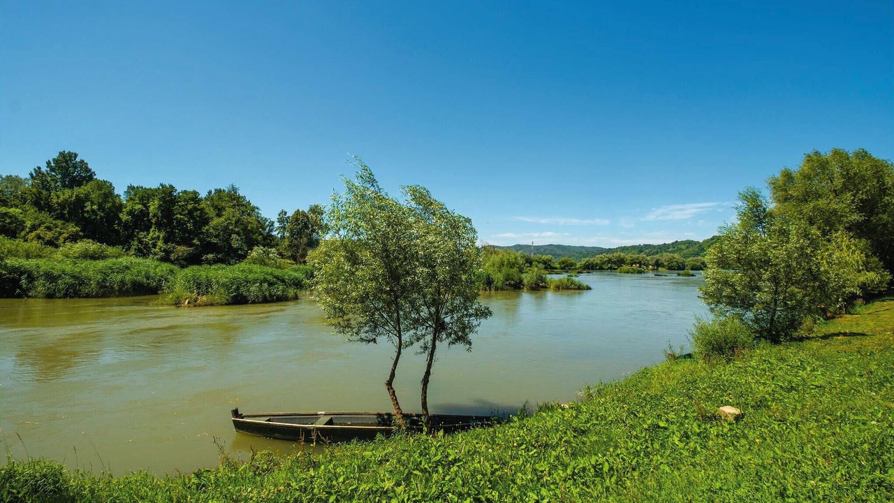 Photo of Others in Petrinja