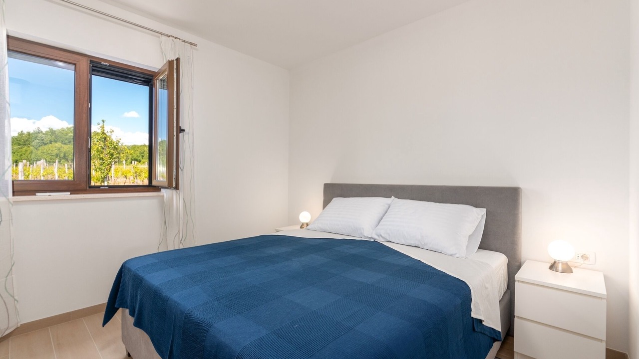 Photo of Bedroom in Draguc
