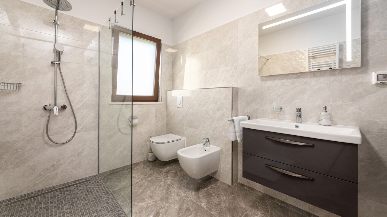 Photo of Bathroom in Draguc