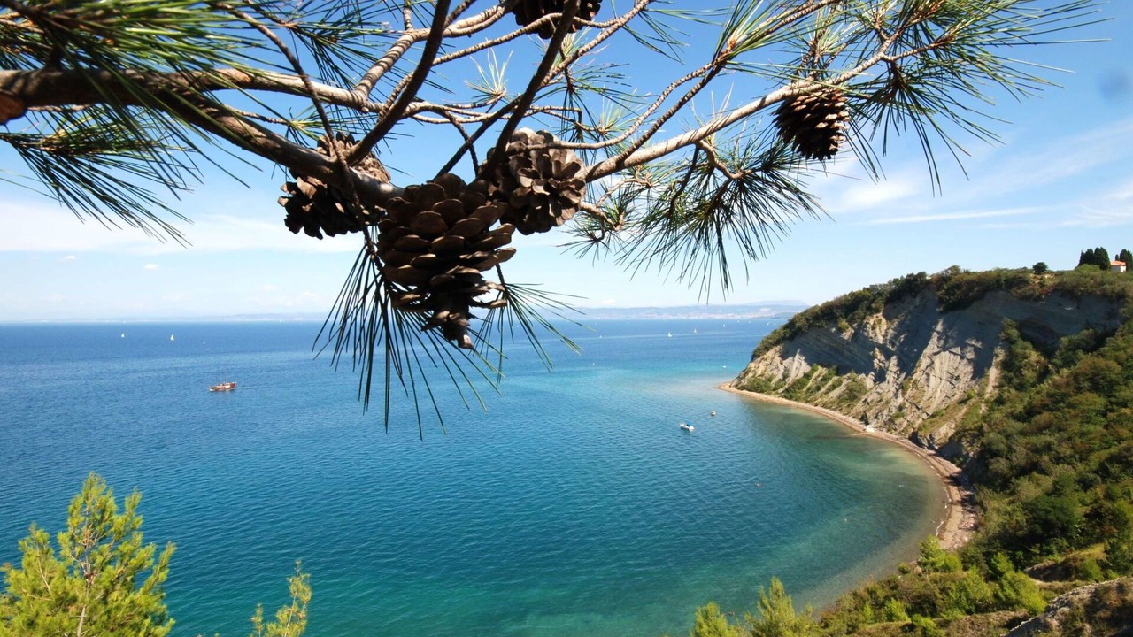 Photo of Outdoor in Strunjan