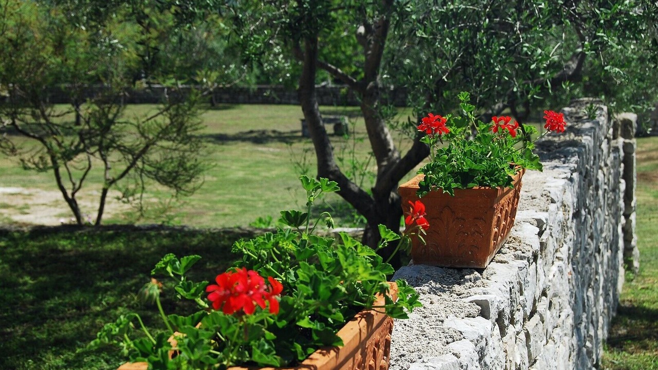Photo of Outdoor in Nerezine