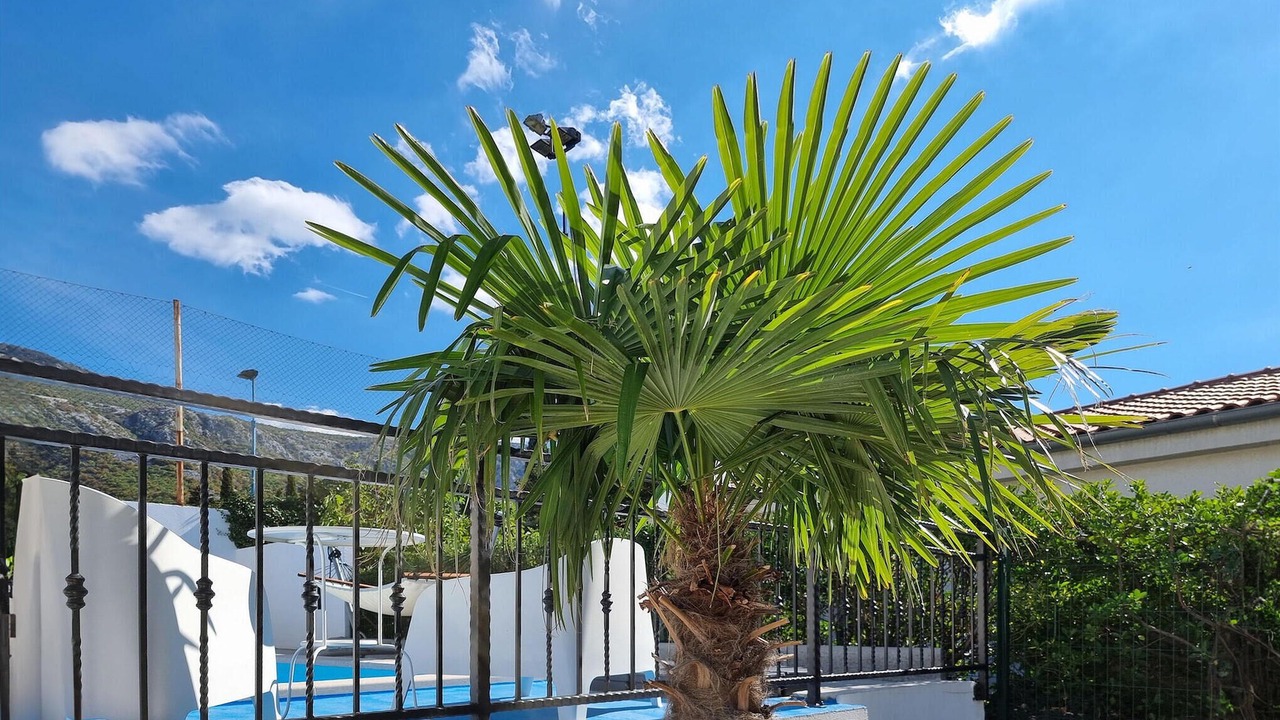 Photo of Outdoor in Tribalj