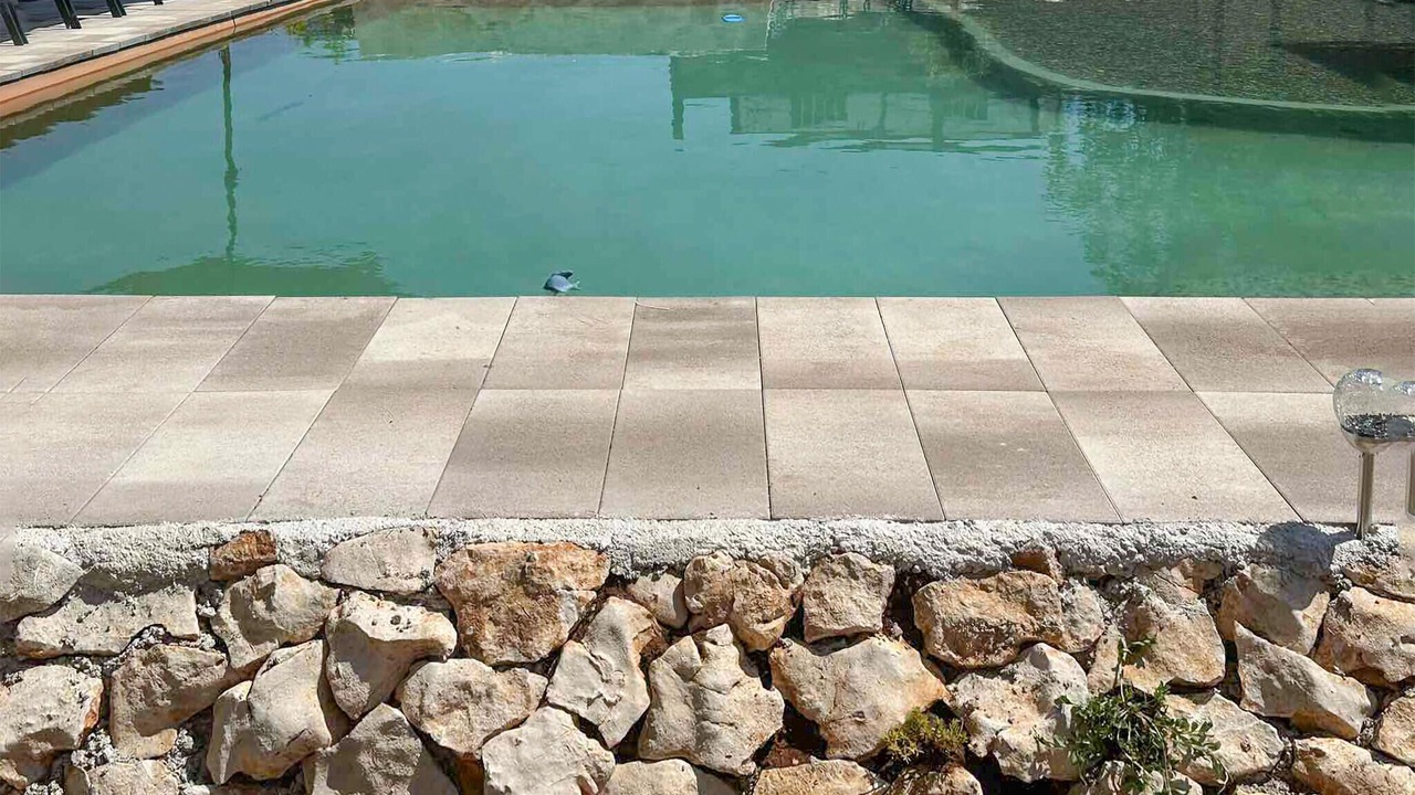 Photo of Outdoor in Krsan