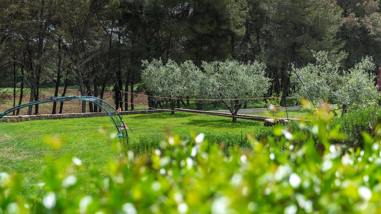 Photo of Others in Tar-Vabriga
