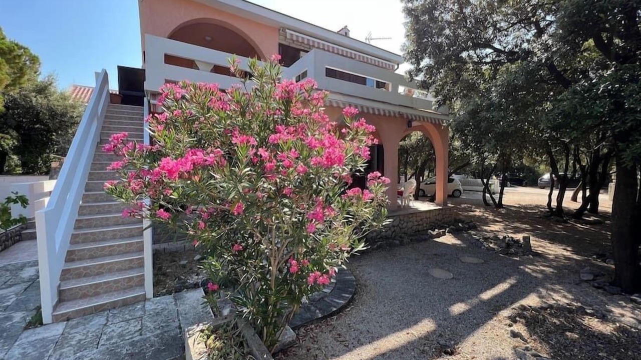 Photo of Outdoor in Simuni