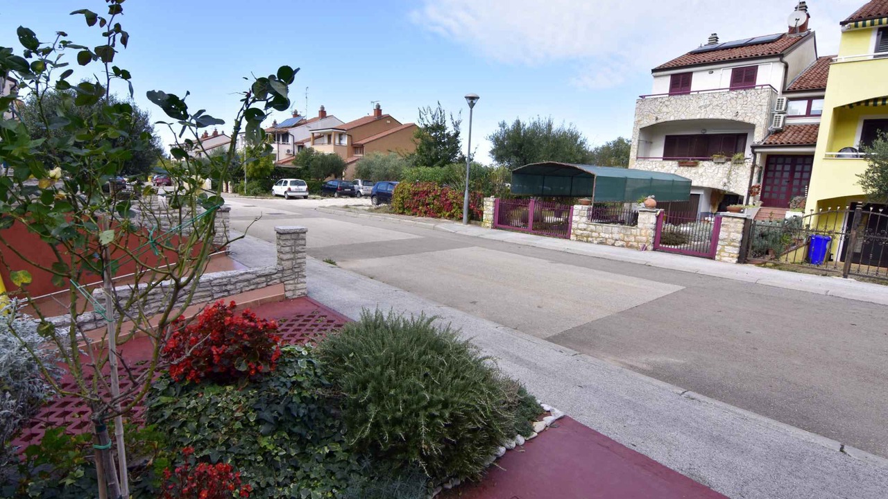 Photo of Outdoor in Murine