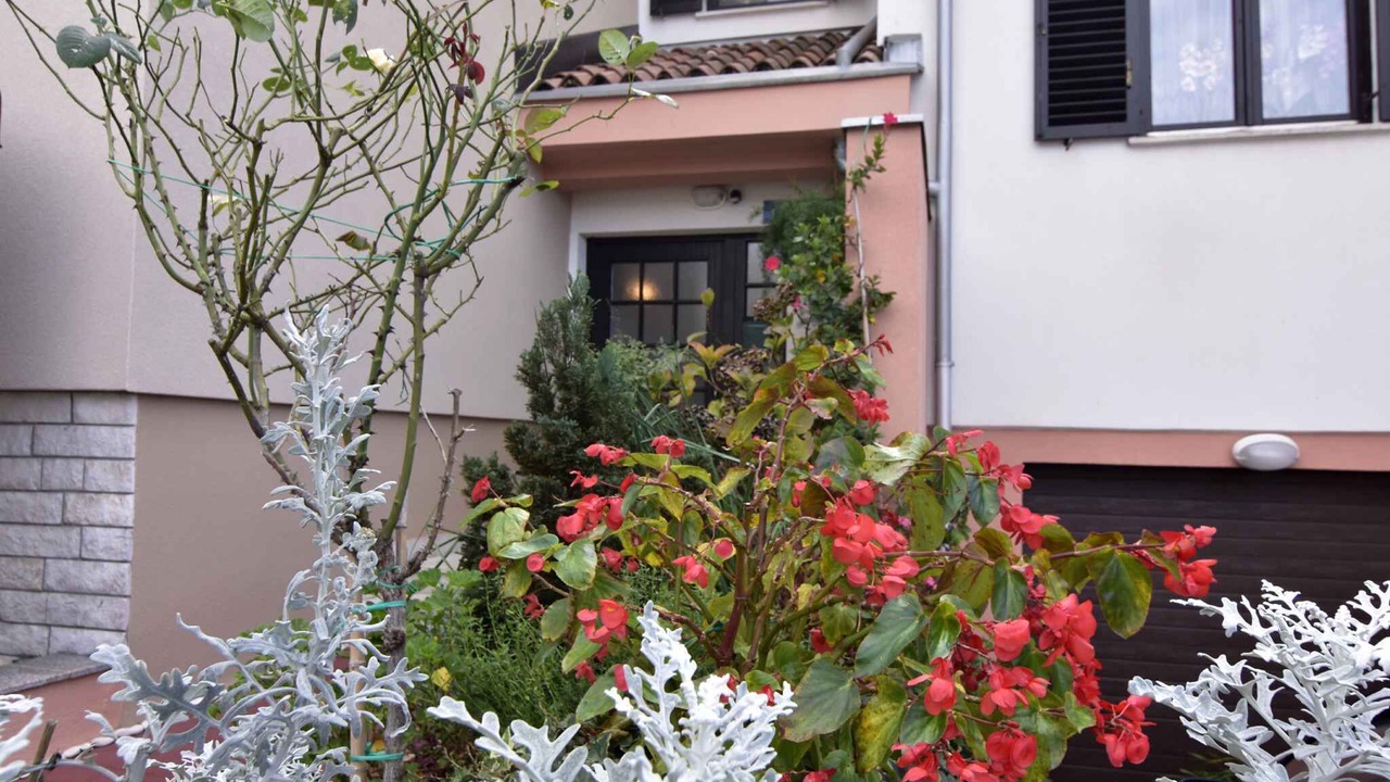 Photo of Outdoor in Murine