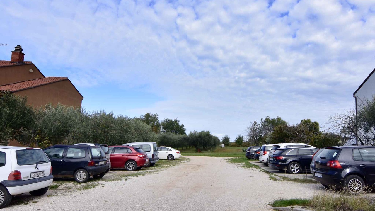 Photo of Outdoor in Murine