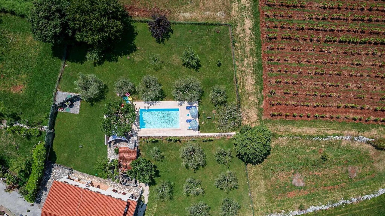 Photo of Outdoor in Buje