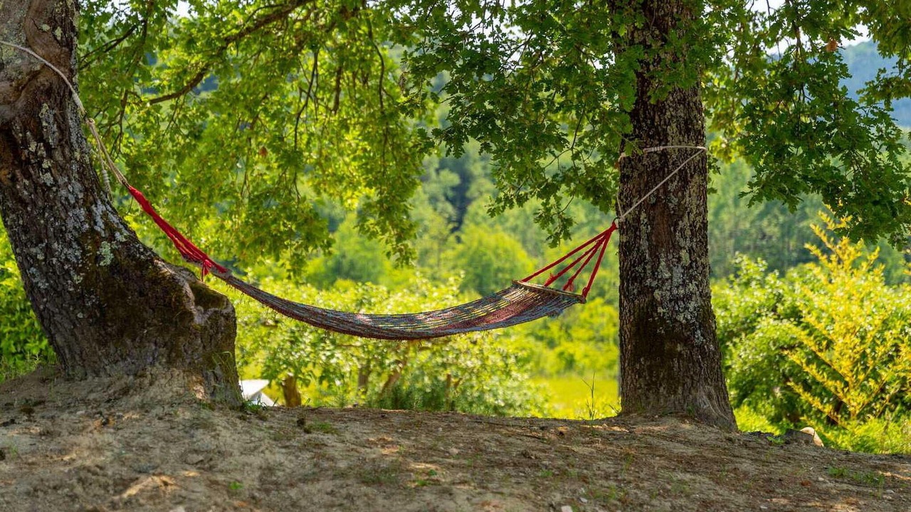 Photo of Others in Pazin