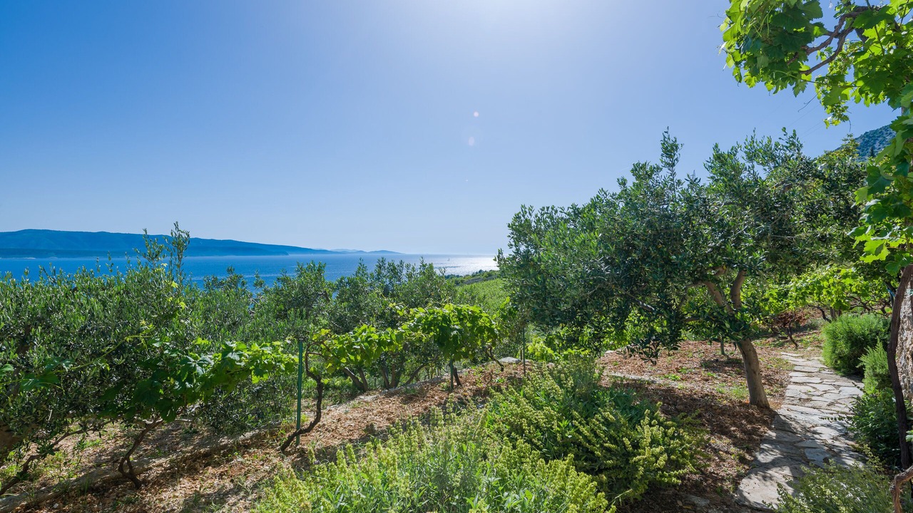 Photo of Outdoor in Murvica