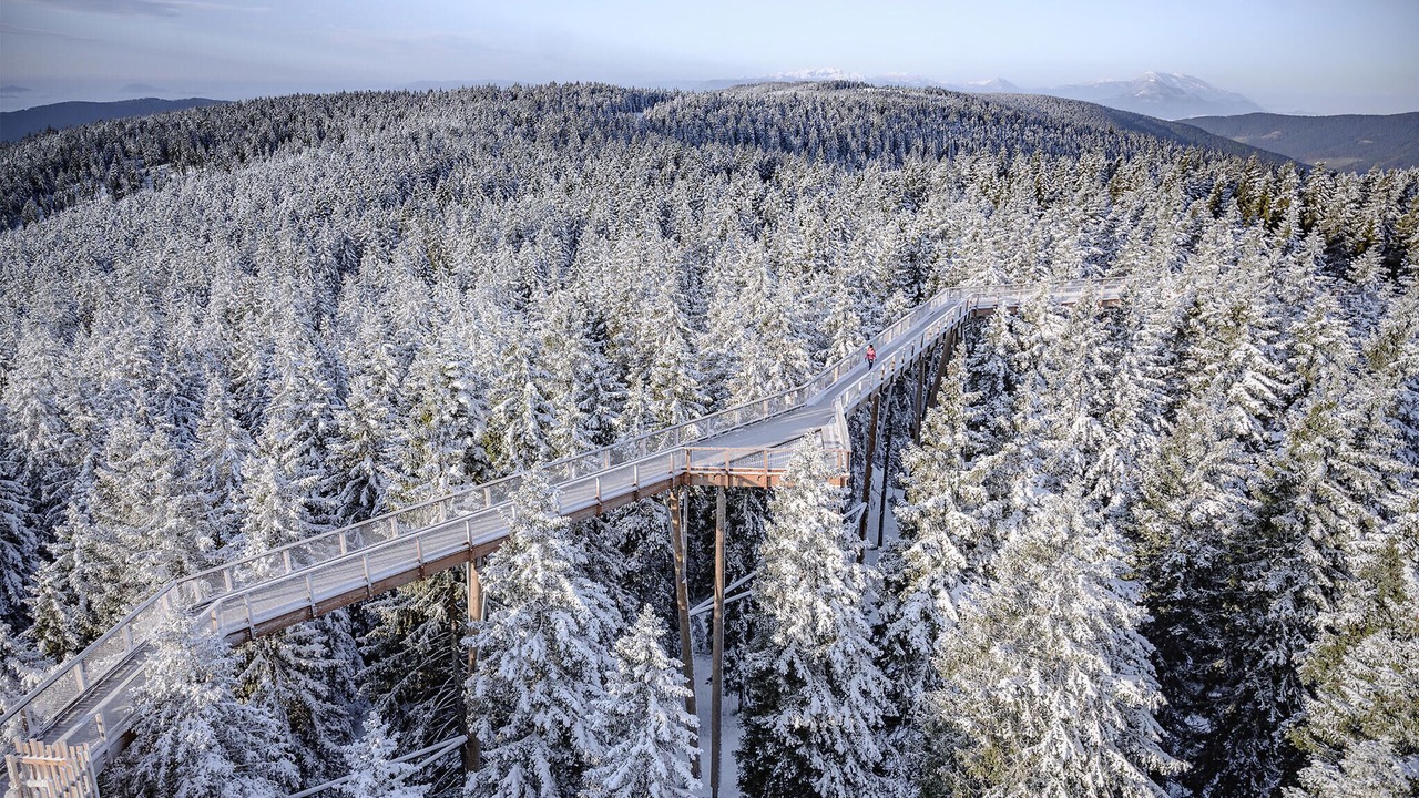 Photo of Others in Hocko Pohorje