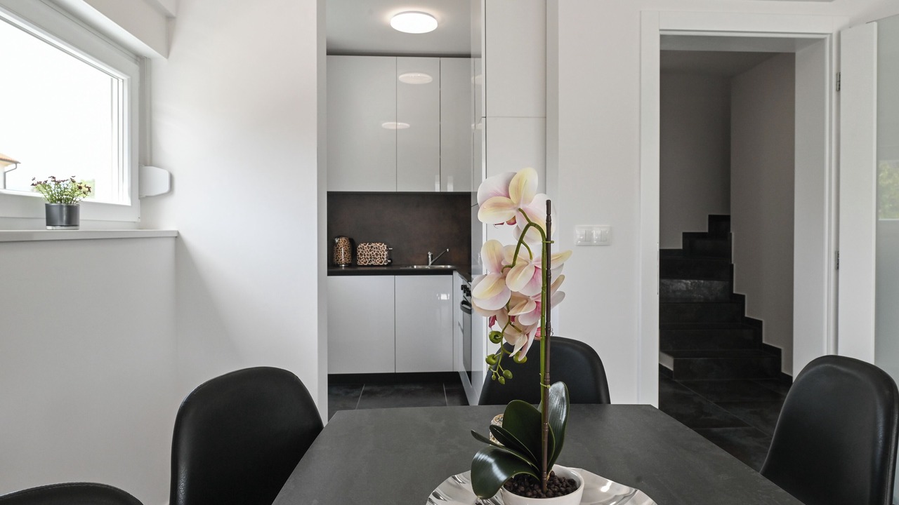 Photo of Kitchen in Novalja