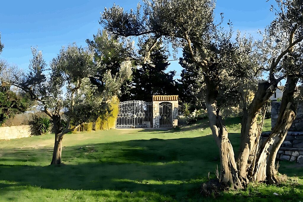 Photo of Outdoor in Nerezine