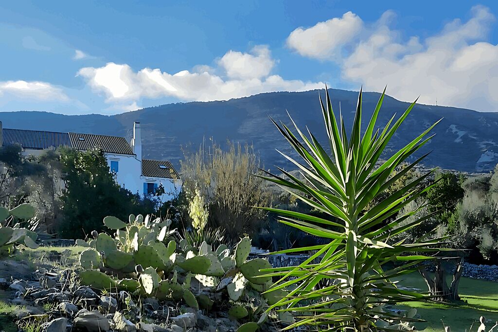 Photo of Outdoor in Nerezine