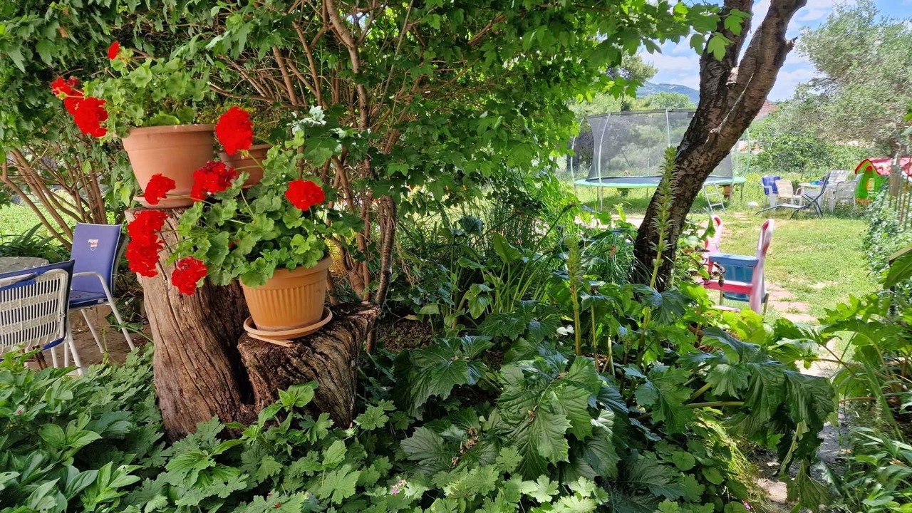 Photo of Outdoor in Mundanije
