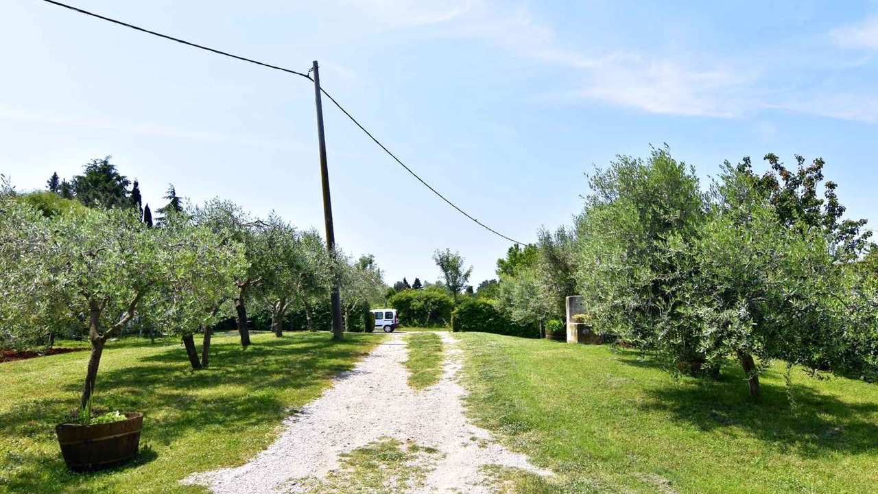 Photo of Outdoor in Đuba