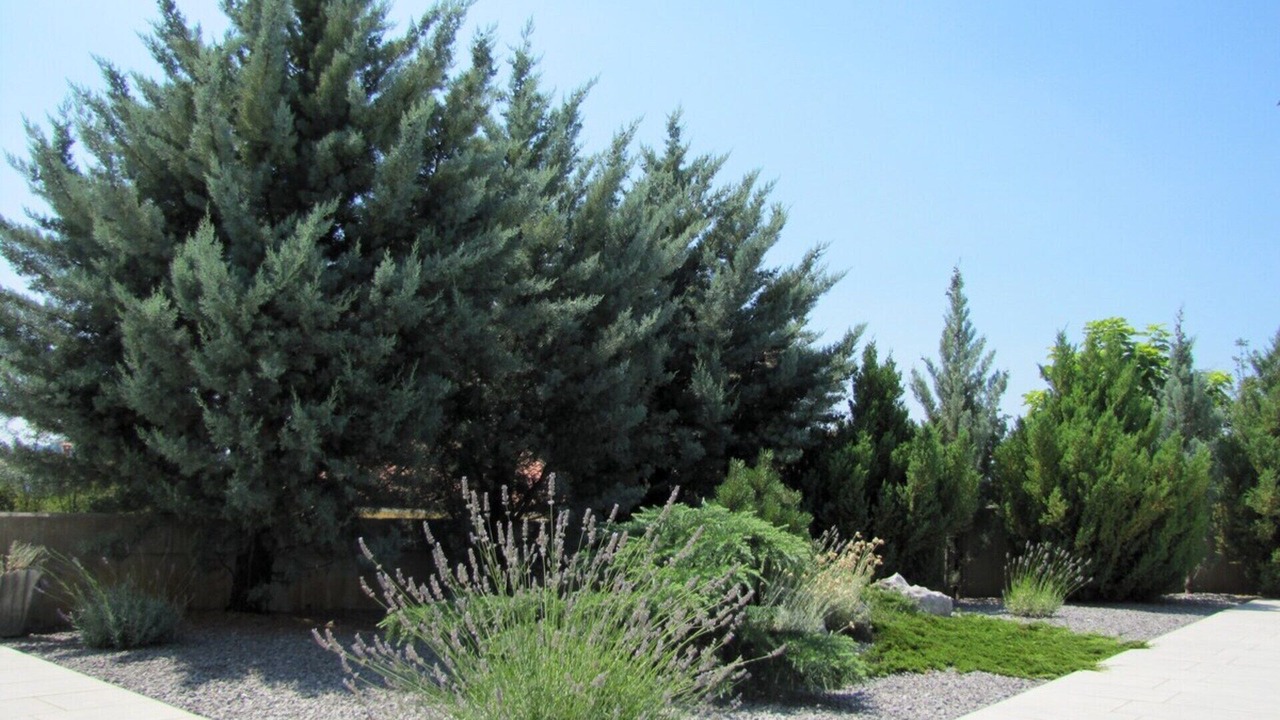 Photo of Outdoor in Sezana