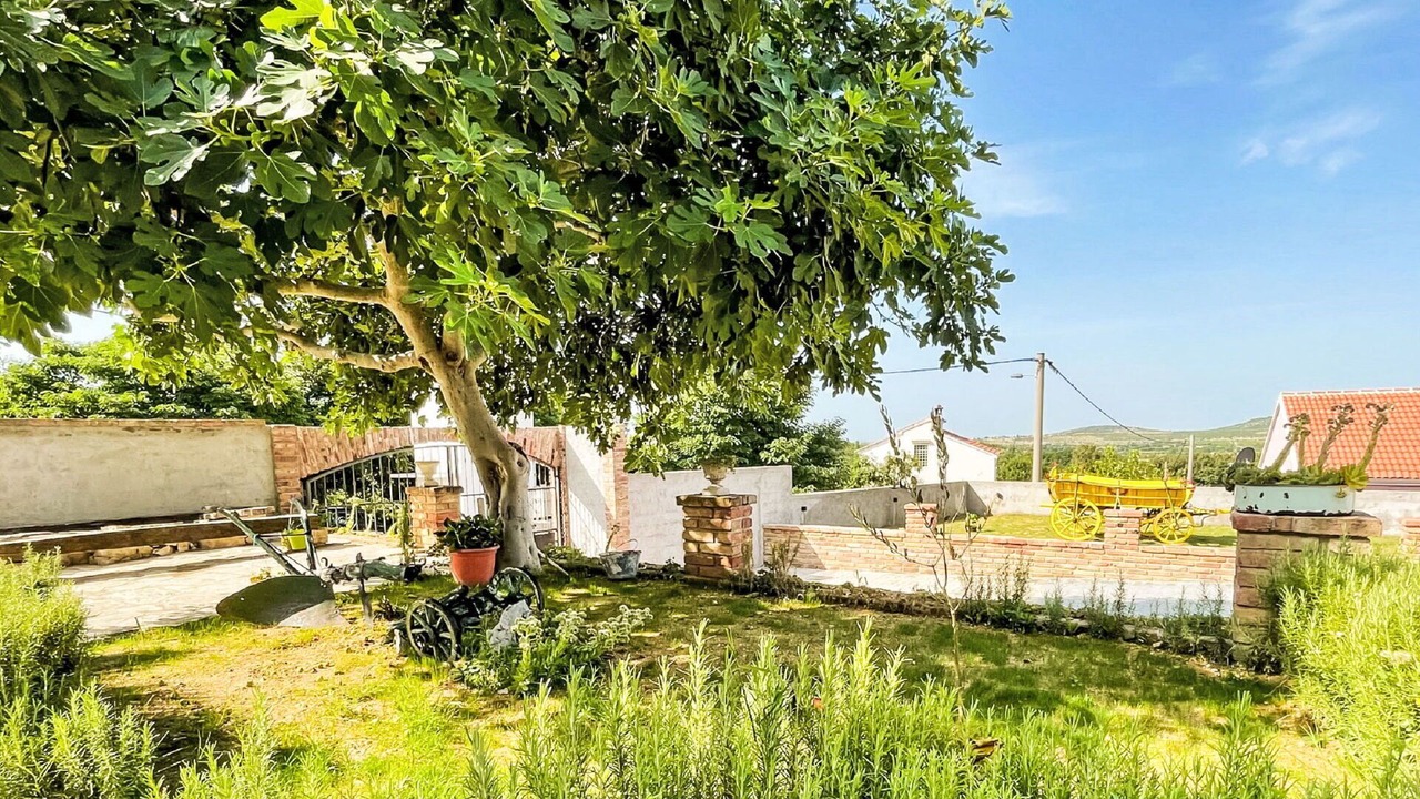 Photo of Outdoor in Benkovac