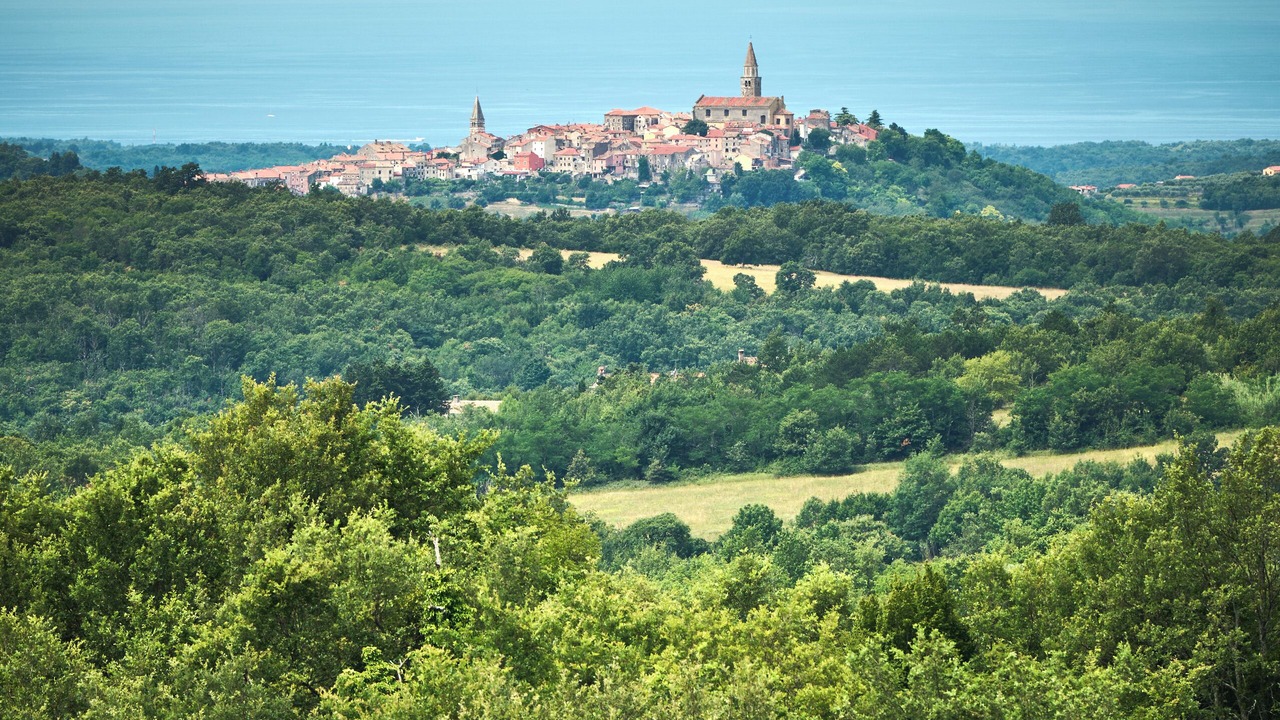 Photo of Others in Marusici