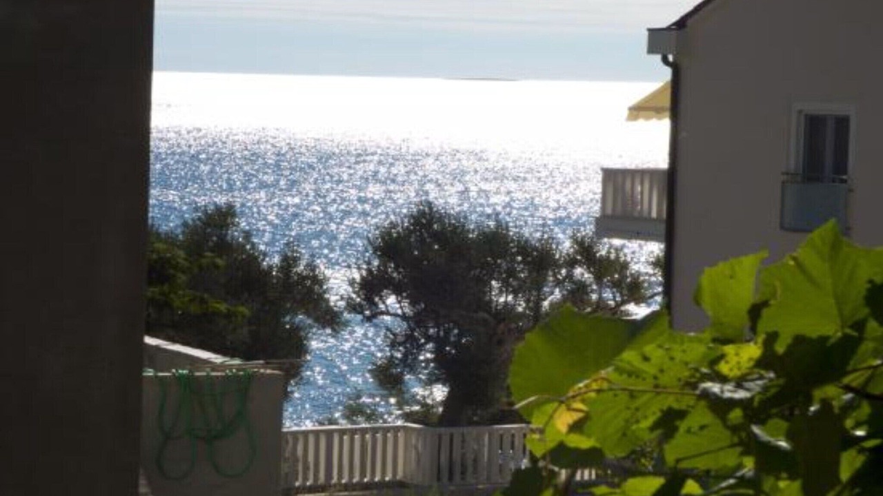 Photo of Others in Ivan Dolac