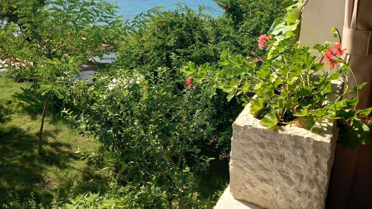 Photo of Others in Supetarska Draga