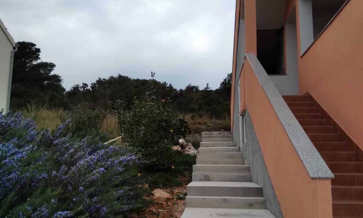Photo of Outdoor in Molat