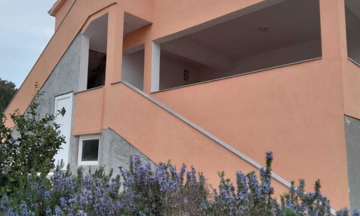 Photo of Outdoor in Molat