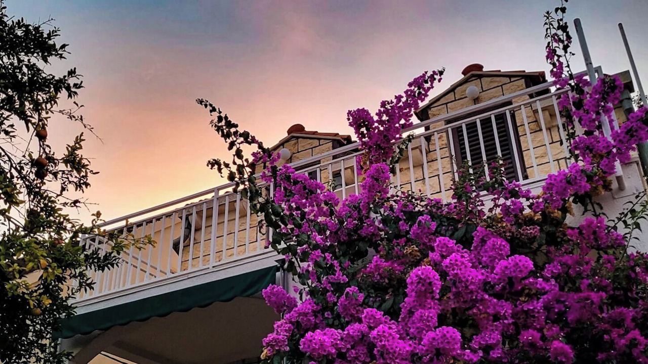 Photo of Others in Hodilje