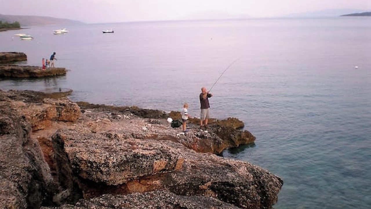 Photo of Others in Zavala
