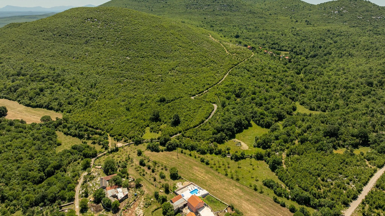 Photo of Others in Bilisane