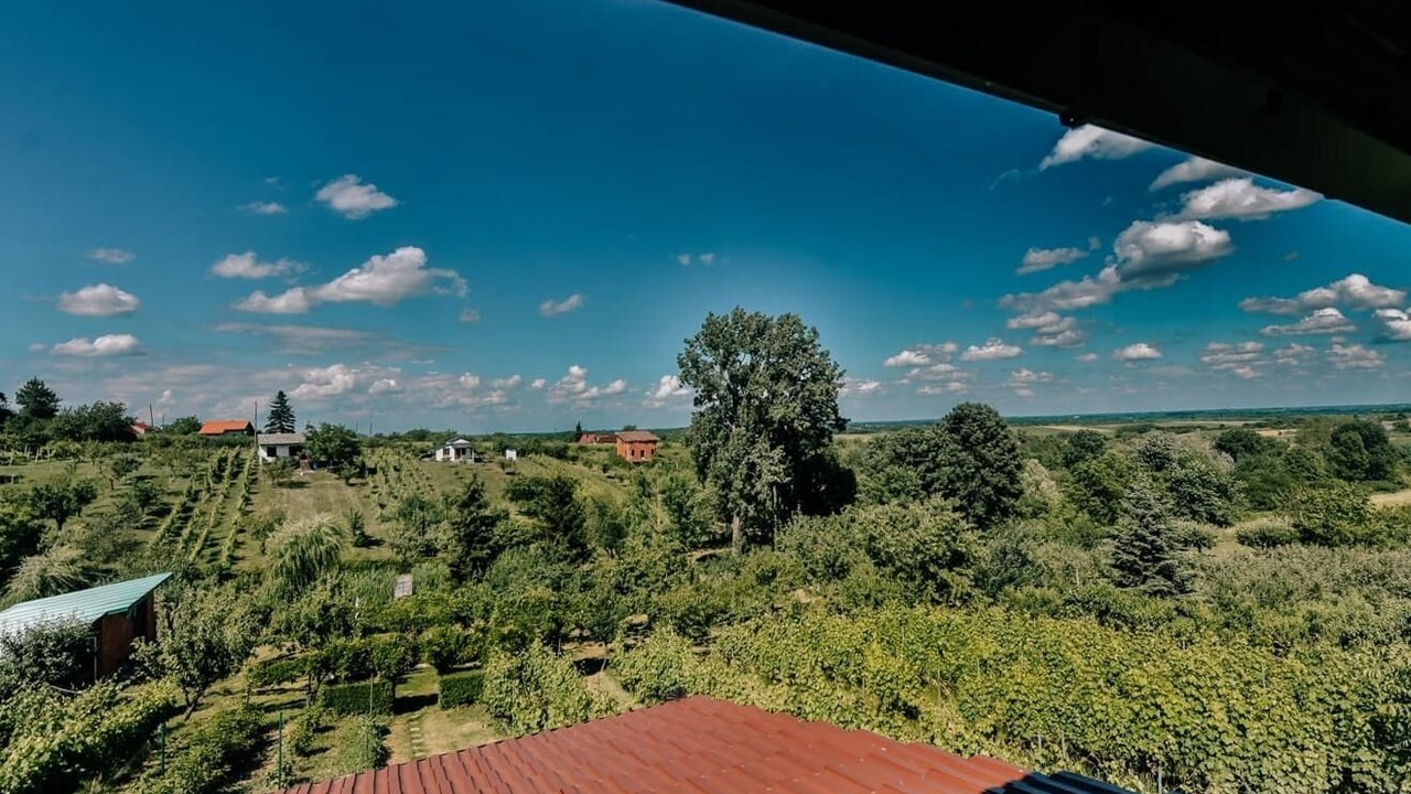 Photo of Others in Municipality of Drenje