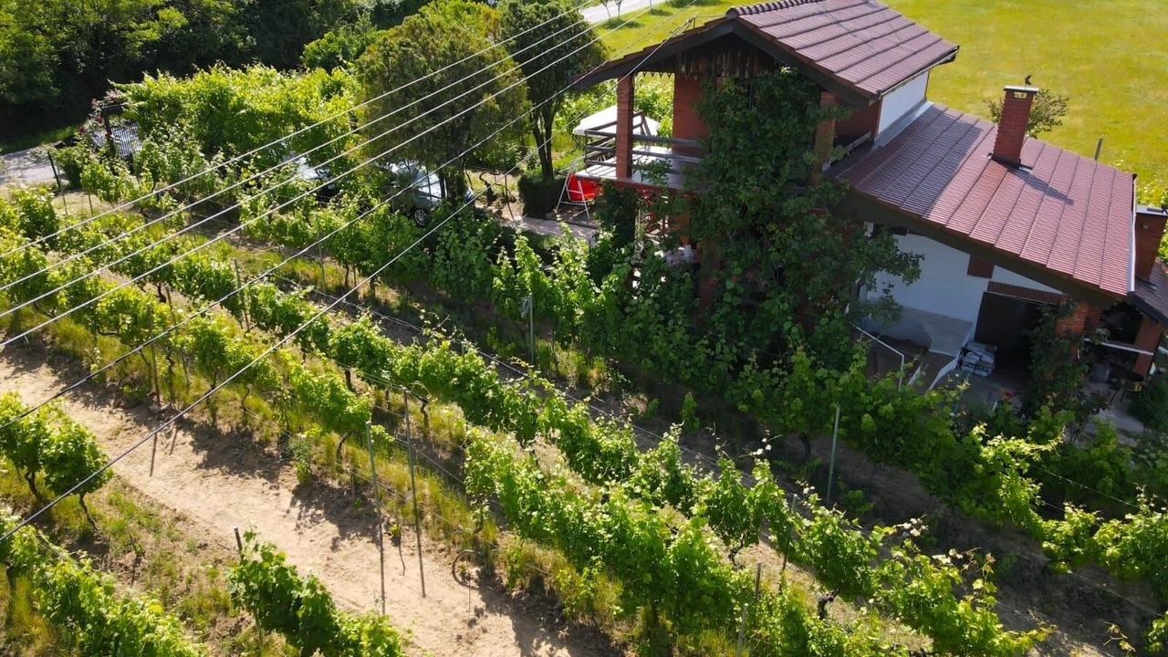 Photo of Outdoor in Municipality of Drenje