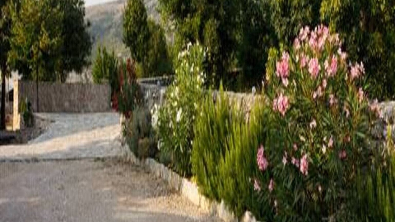 Photo of Outdoor in Drnis
