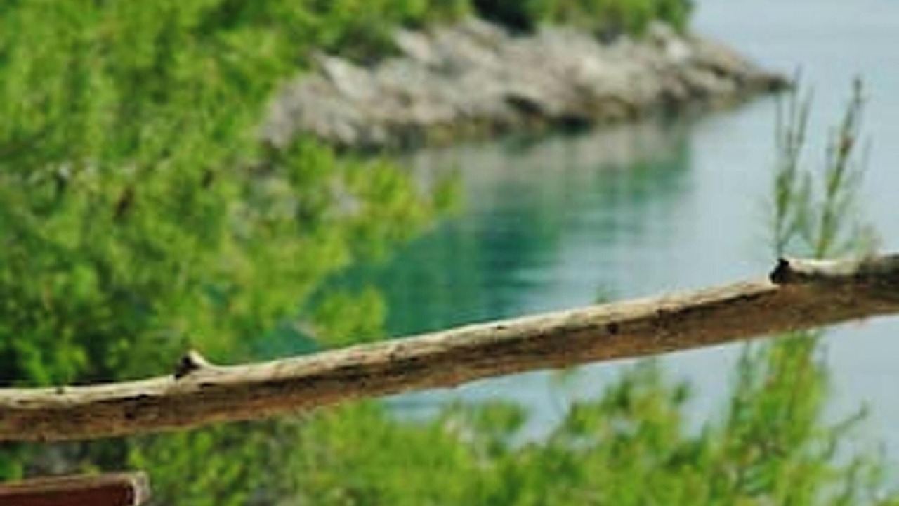 Photo of Outdoor in Cove Basina (Jelsa)