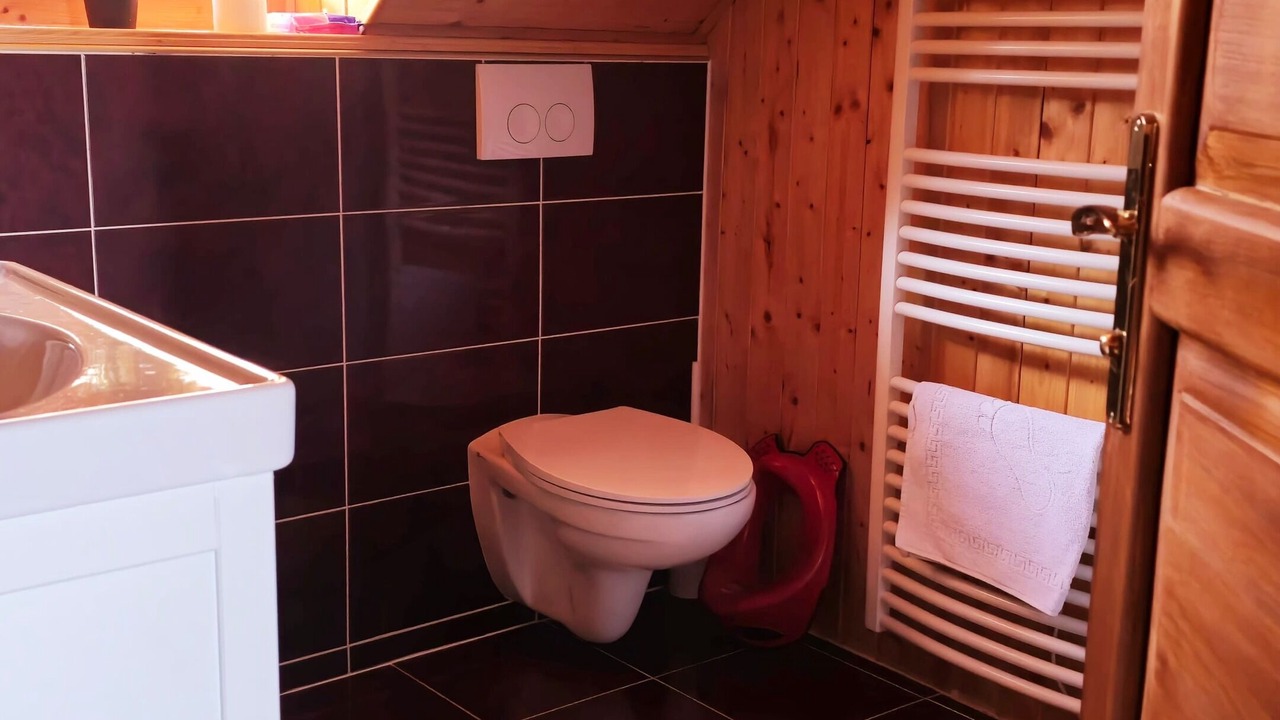 Photo of Bathroom in Breznik Plesivicki