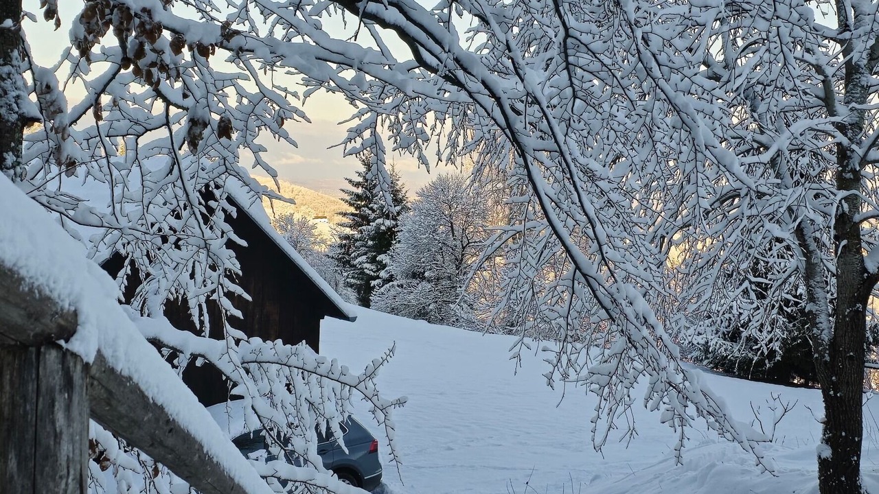 Photo of Outdoor in Breznik Plesivicki